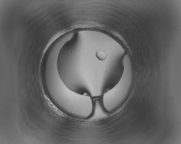 X0000080691122200701121718