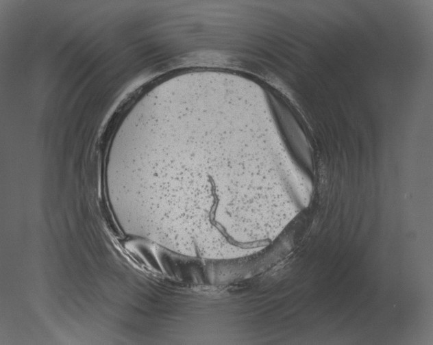 X0000080691123200701121718