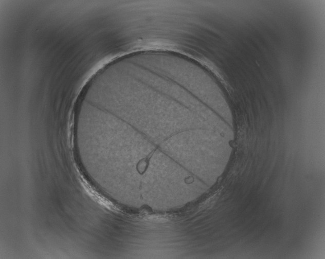 X0000080691126200701121718