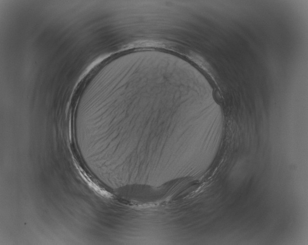 X0000080691127200701121718