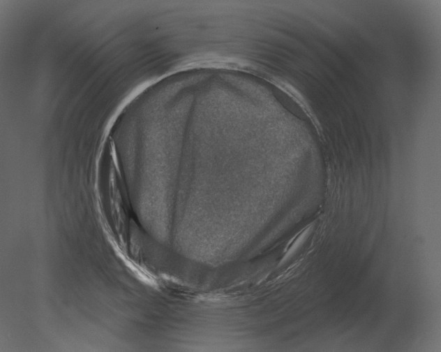 X0000080691128200701121718