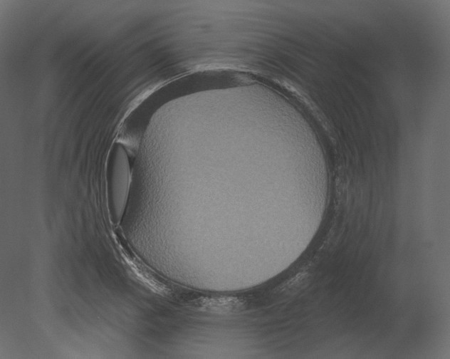 X0000080691129200701121718