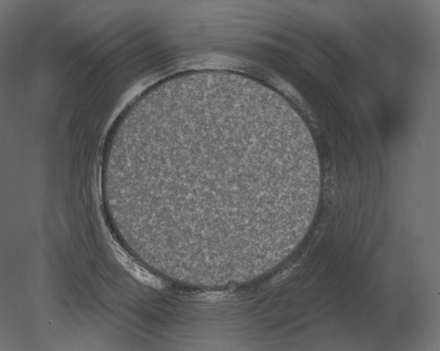 X0000080691130200701121718