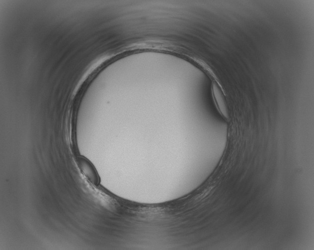 X0000080691131200701121718