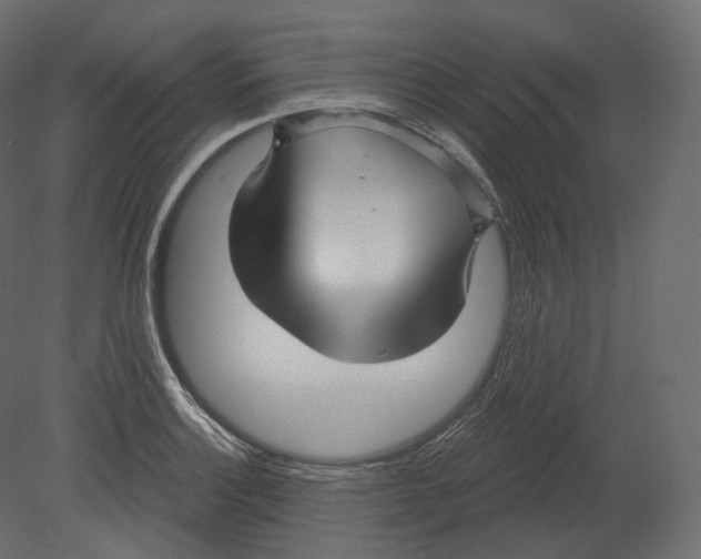 X0000080691132200701121718