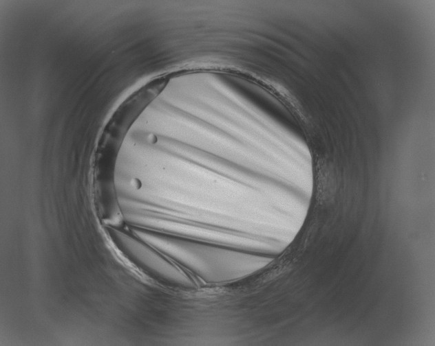 X0000080691134200701121718