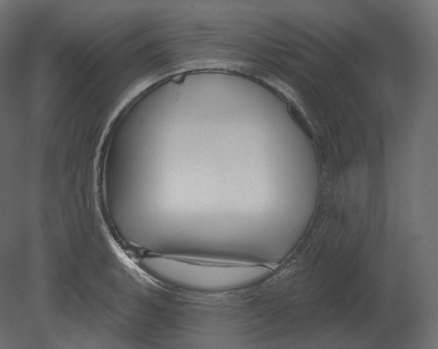 X0000080691135200701121718