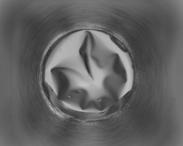 X0000080691136200701121718