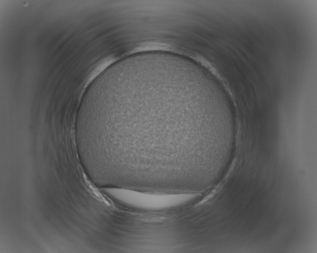 X0000080691137200701121718