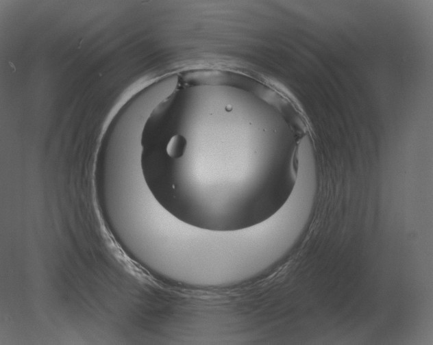 X0000080691138200701121718