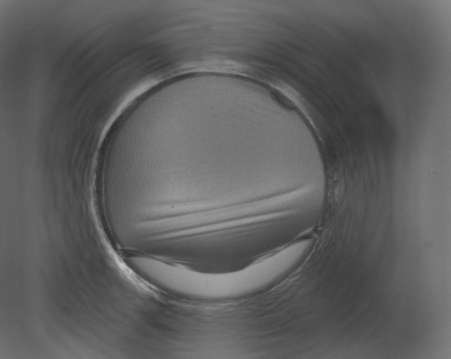 X0000080691139200701121718