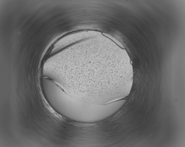 X0000080691140200701121718