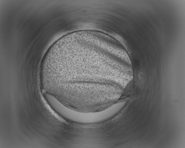 X0000080691142200701121718