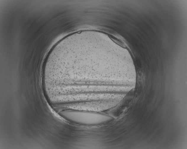 X0000080691143200701121718