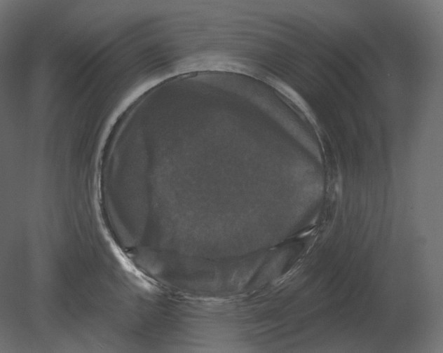 X0000080691144200701121718