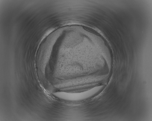 X0000080691145200701121718