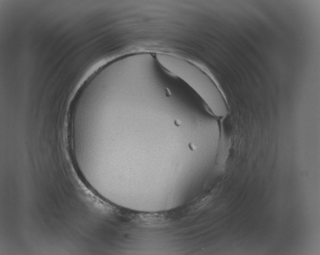 X0000080691147200701121718