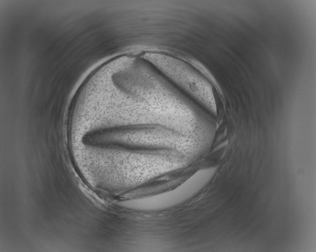 X0000080691148200701121718