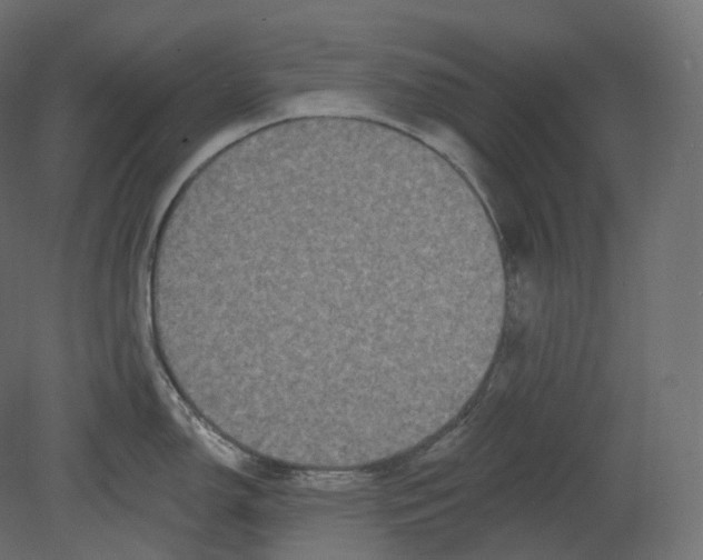 X0000080691150200701121718