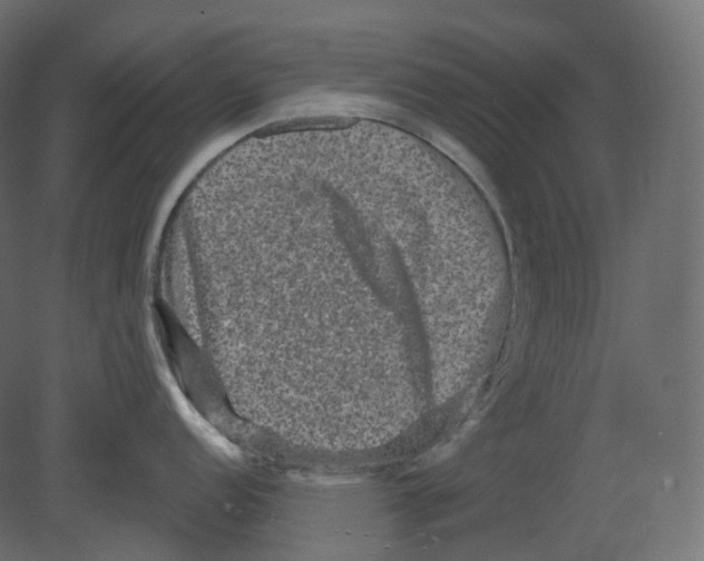 X0000080691152200701121718