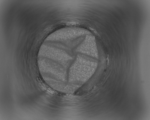 X0000080691153200701121717