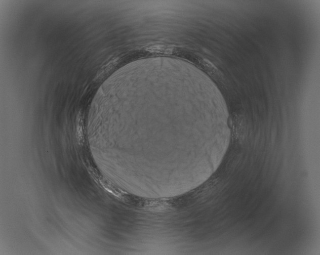 X0000080691154200701121717