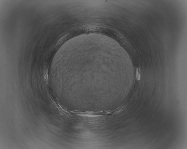 X0000080691155200701121717