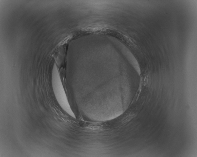 X0000080691156200701121717