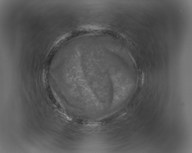 X0000080691157200701121717