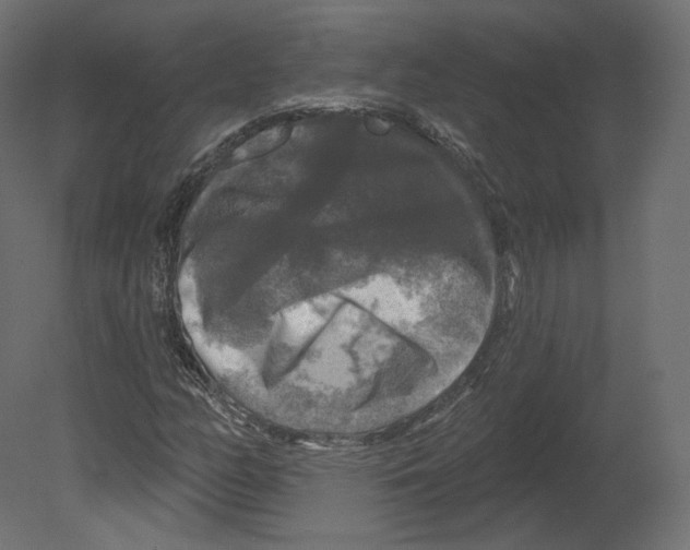 X0000080691158200701121717