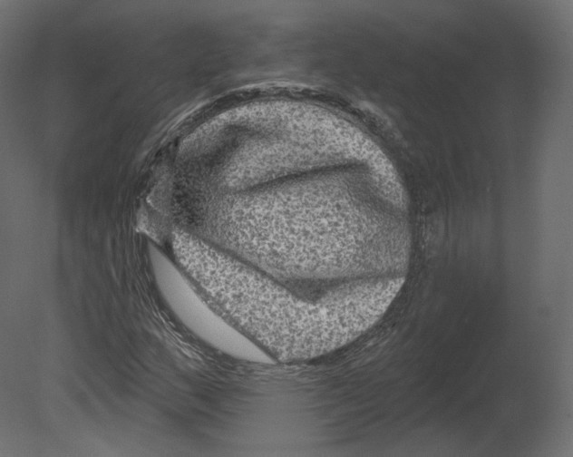 X0000080691159200701121717