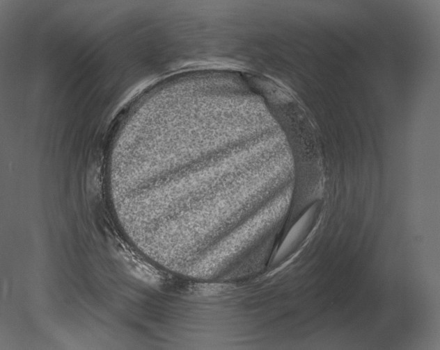 X0000080691163200701121717