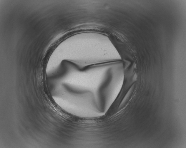 X0000080691164200701121717