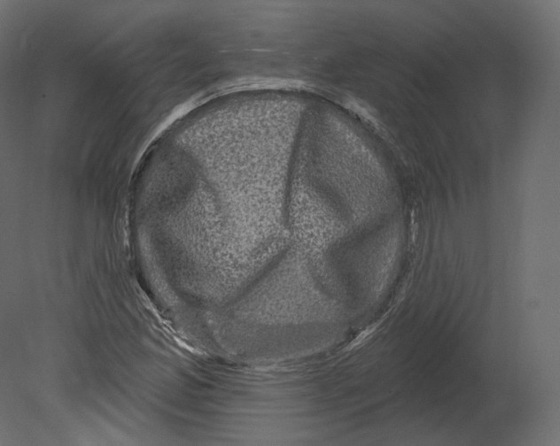 X0000080691165200701121717