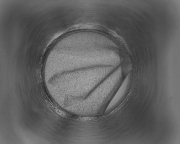 X0000080691166200701121717