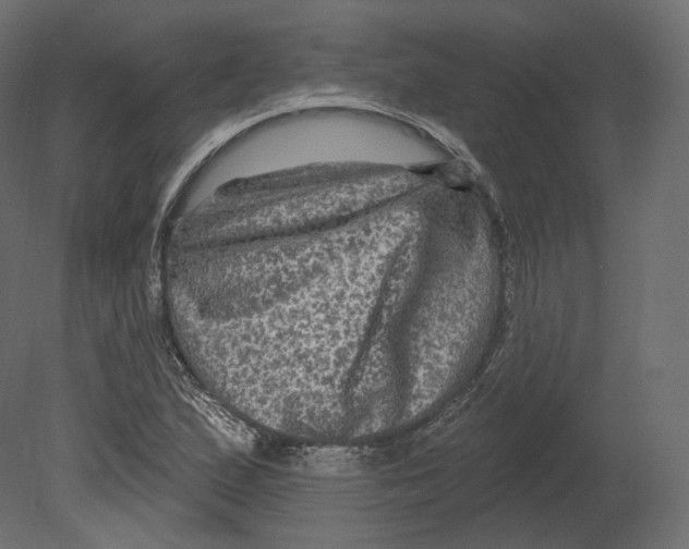 X0000080691167200701121717