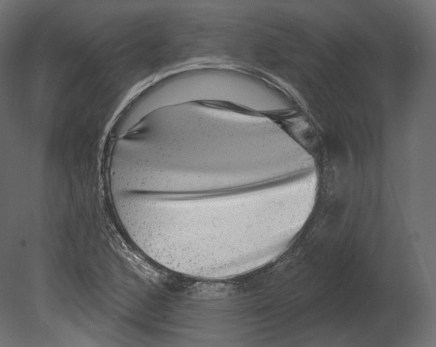 X0000080691168200701121717