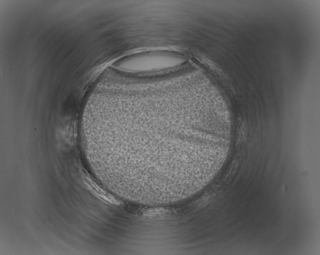 X0000080691169200701121717