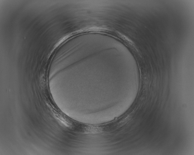 X0000080691170200701121717