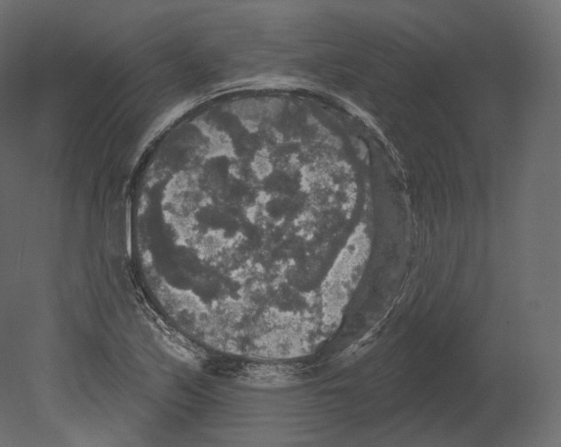 X0000080691171200701121717