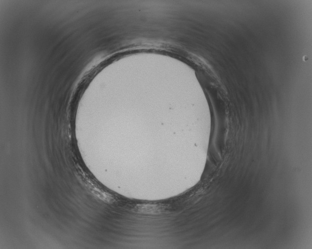 X0000080691172200701121717