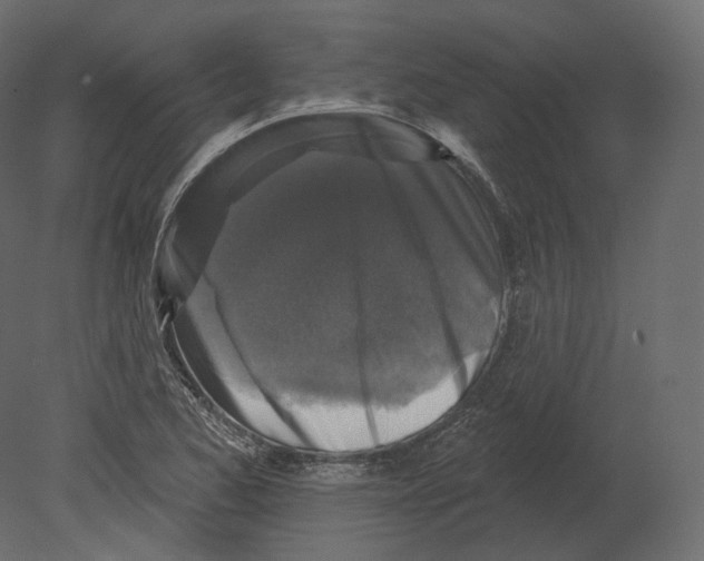 X0000080691173200701121717