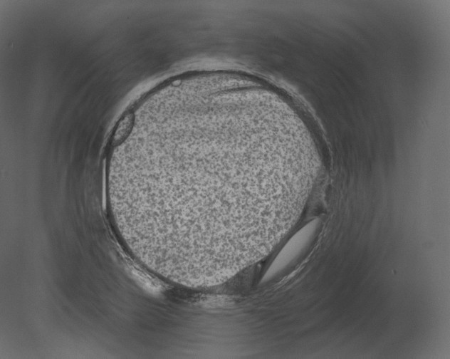 X0000080691175200701121717