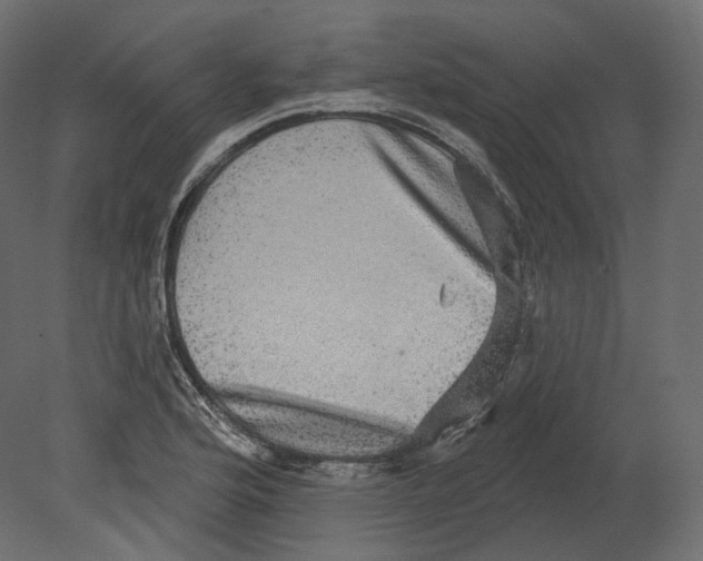 X0000080691176200701121717