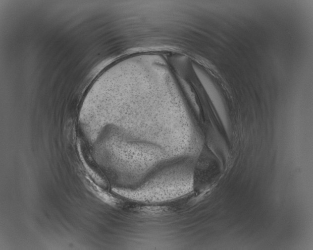 X0000080691177200701121717