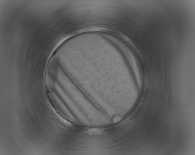 X0000080691178200701121717