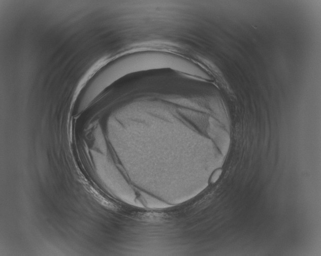 X0000080691180200701121717