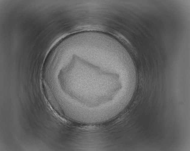 X0000080691182200701121717