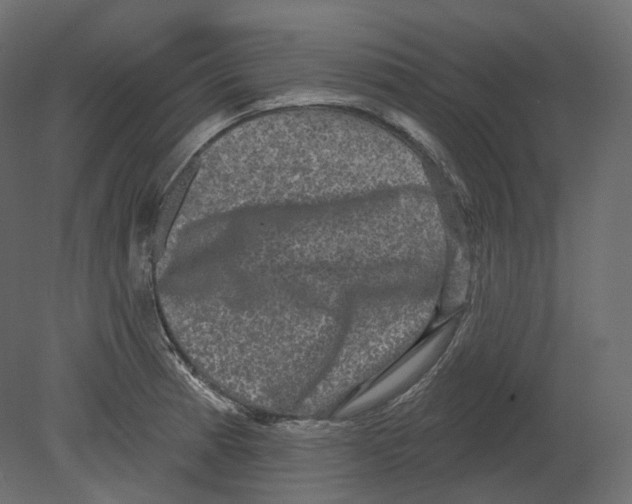 X0000080691185200701121717