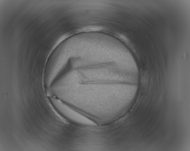 X0000080691186200701121717